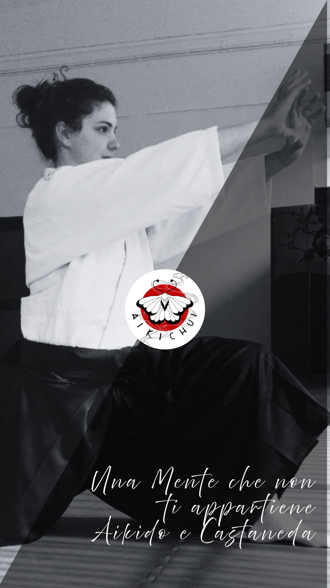 Aikido_Le Mani